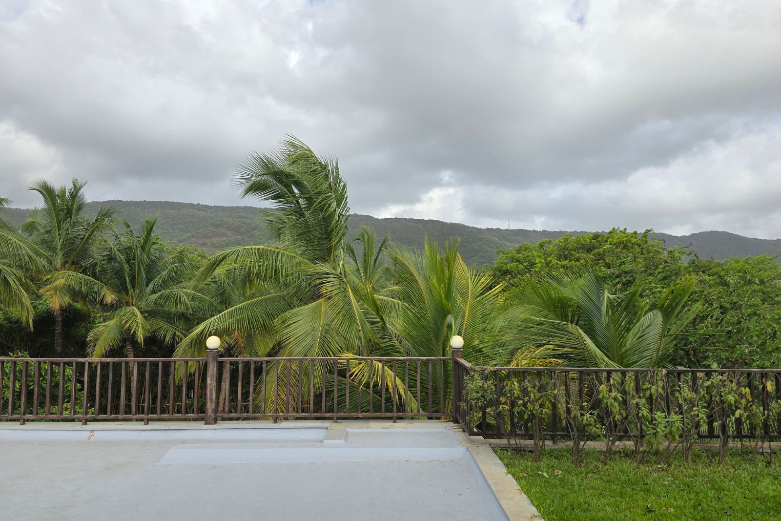 Terrace View